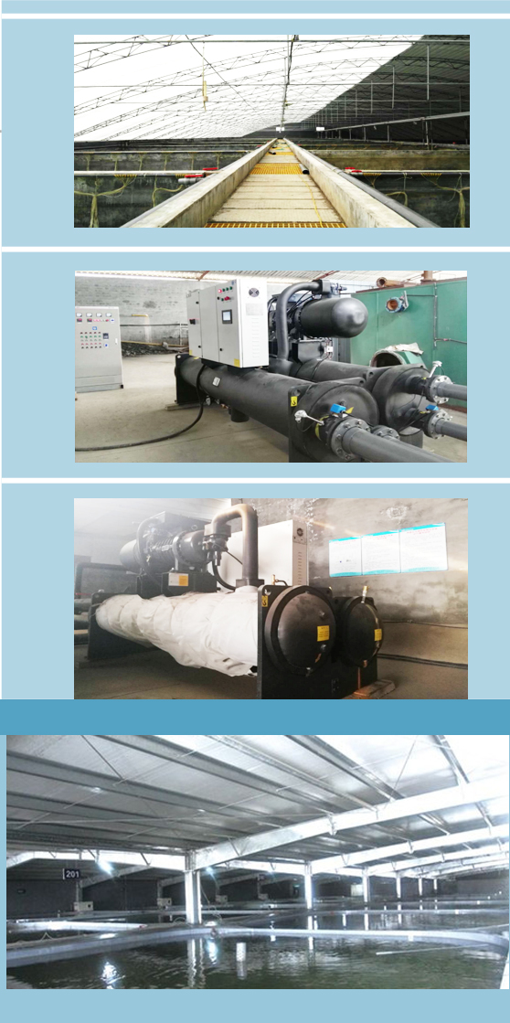 螺桿式熱泵機(jī)組海水養(yǎng)殖 螺桿式熱泵機(jī)組海水養(yǎng)殖