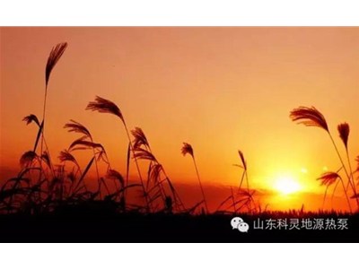 大愛初秋，醉美科靈