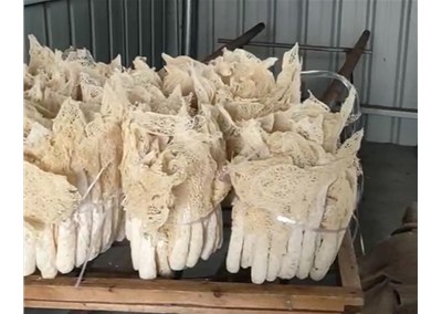 選購筍干烘干機(jī)要注意什么事項